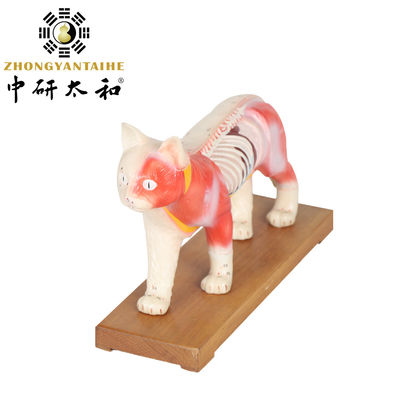 28cm 고양이 침술 모델 중국 ​​의료 교육 침술 바디 모델 pvc