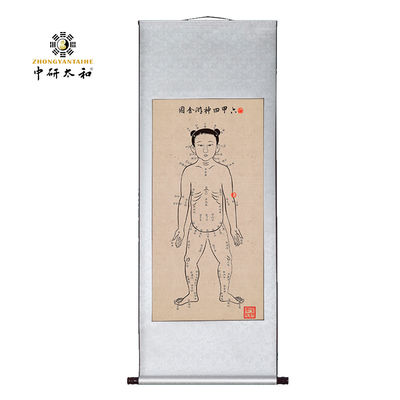 침술 문화 교육용품 전통 중국 의학에서 찌와 мери디안의 개념을 이해하는 데