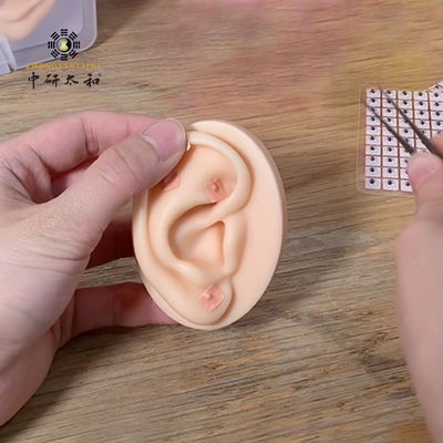 냉장 보관 조건 한 가방 1600pcs 일회용 바카리아 귀 씨앗 침술 용품 치료 및 웰빙을 위해 이상적입니다