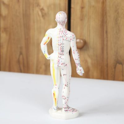 현실적인 침술 모델 침술 바늘에 대한 상세한 신체 안전