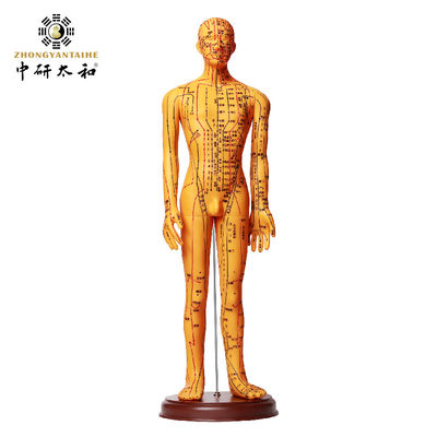 안전하고 정확한 훈련을 위한 침술 바늘 연습 모델
