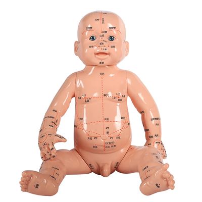 휴대용 바디 모델 가볍고 운반이 쉽다 약 5kg