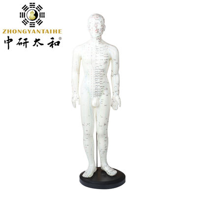 다재다능성 다양한 침술 기술에 사용할 수 있습니다. 몸무게 약 5kg