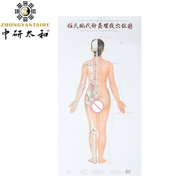 개인화 된 침술 문화 침술 을 통해 신체 의 자연적 치유 능력 을 활용 함