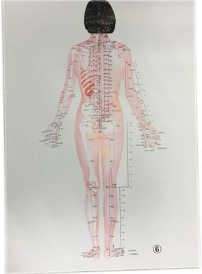 개인화 된 전통 중국 의학 안전 한 효과적 인 치료