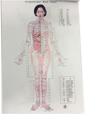 개인화 된 전통 중국 의학 안전 한 효과적 인 치료
